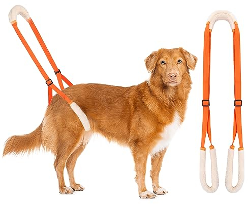 Lollanda Gehhilfe für Hunde Hinten, Tragehilfe für Hunde, Hundegeschirr für Die Hinterbeine, Gehhilfe Hunde zum Unterstützung für Kranke Hund, Älterer Hund, Fördert die Mobilität des Hundes (Orange)