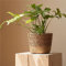 JITASHWA Pot de fleurs tissé avec doublure, panier de fleurs en jonc de mer, cache-pots de fleurs décoratifs, conteneurs de plantes d'intérieur, décoration d'intérieur, grande taille