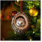Wisafory Weihnachtsbaumschmuck Acryl Tier Dekor Weihnachtsbaum Anhänger mit Tiermuster 2D Acryl Weihnachtsdeko Eule Waschbär Ornament für Urlaub, Party, Weihnachtsdeko Igel