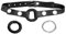 XXdreamSToys Leder-Latex-Metall-Ringknebel