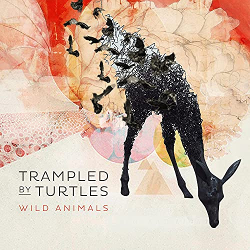 Banjodad Records - Thirty Tige (Spv)