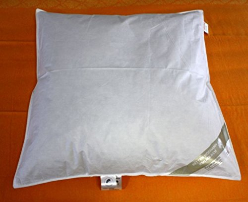 Betten Hofmann Baby Winter Daunenbett 80x80 cm Babydaunendecke, kuschelig warm, 250g Füllgewicht, Naturprodukt, waschbar