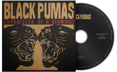Chronicles of a Diamond