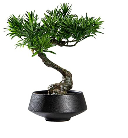 Pq7hKv2wD Bonsai Decoration Potted New Chinese Artificial Bonsai Tree Simulation Welcome Pine Green Plant Small Ornaments Coffee Table Study Wine Cabinet