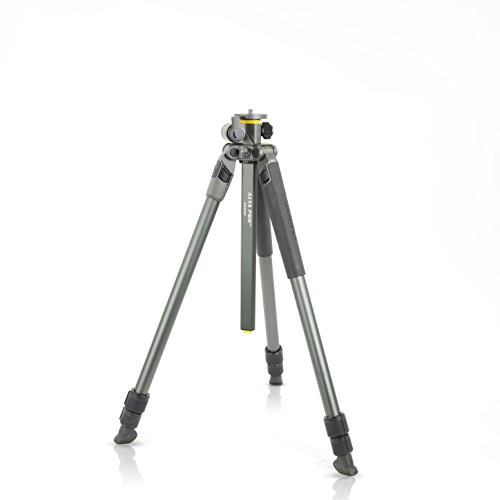 Vanguard Dreibeinstativ Alta Pro 2+ 263AT schwarz