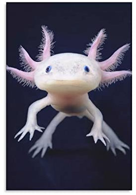 Axolotl Reptilien Marine Benthos Poster für Zimmer, ästhetische Dekoration, Druckposter, ungerahmt, 60 x 90 cm