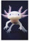 Axolotl Reptilien Marine Benthos Poster für Zimmer, ästhetische Dekoration, Druckposter, ungerahmt, 60 x 90 cm