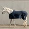 SUNRIDE Abschwitzdecke “Wellington” für Pferde aus weichem Fleece (280g/m²) - schnelltrocknend und leicht (145 cm, blau)