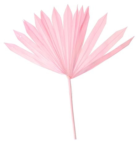 IMIKEYA Feuille de Palmier Decoration Noel décoration de noël déco de Noel Fleur sechee décoration noël déco extérieure Ménage Fleurs séchées de la Pampa décorations décorer
