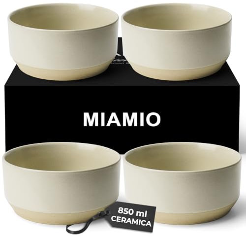MIAMIO – Ensemble de 4 bols/Ensemble de bols en céramique (850 ml) pour pâtes, ramen, céréales, salade – Convient au lave-vaisselle et au micro-ondes – Collection Sierra (Clair, Bols (4x))