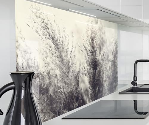 timalo Spritzschutz Wand für Herd, Küche Küchenrückwand Glasoptik | Acryl Glas 2mm | Glasrückwand Acrylglas Wandpaneele Rückwandschutz Platte | 60x52cm Pampasgras