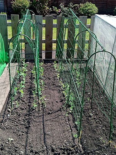 Easynets Pea Support Frame Kit (1.8m x 1.10m)