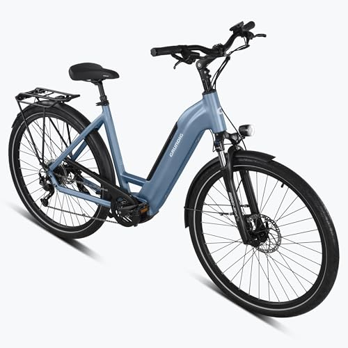 GRUNDIG GCB-1 E-Bike 28 Zoll Elektrofahrrad für Damen und Herren, E-Bike Trekking mit 250W/80N.m BAFANG Mittelmotor und Drehmomentsensor, Shimano 9 Gänge, 36V/15Ah LG Akku bis zu 120KM