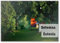 Modernes rustikales Holzhaus in einem schönen Sommergarten, grüner Birkenwald in ländlicher Landschaft, Setomaa, Estland, Kühlschrankmagnet