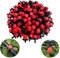 Xutong - Sistema di irrigazione a goccia, 100 pezzi, regolabile, anti-intasamento, colore: rosso