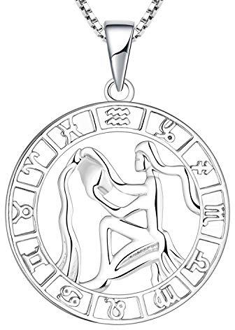 YL Silber Wassermann Halskette-925 Sterling Silber Horoskop Sternzeichen 12 Konstellation Anhänger Halskette für Damen