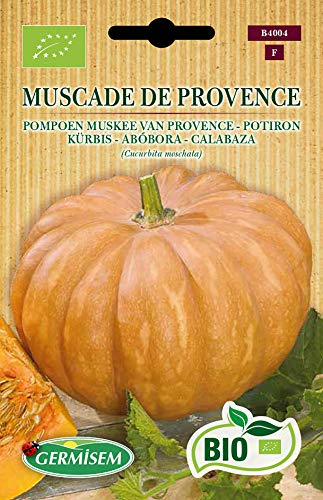 Germisem Orgánica Muscade de Provence Semillas de Calabaza 4 g, ECBIO4004