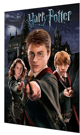 Harry Potter - Leinwanddruck