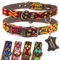 ALTEZAR Hundehalsband Leder - braunes Rindsleder Tribal Feuerrot durchgehend Bestickt gelb/orange/rot - Handgemacht in Mexiko Lederhalsband Hund - Größe m - für mittel-große Hunde