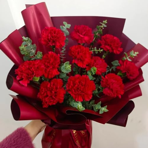 500 pcs Nelken Samen, Bartnelken Samen winterharte stauden für pralle sonne, bienenweide mehrjährig Nelken Samen Balkon, geschenke für gartenfreunde, winterharte stauden für pralle