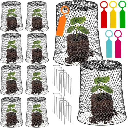 KAHEIGN 12Pcs Chicken Wire Cloches, 23CM x 23CM Metal Garden Plant Cover Netting Plant Protector Cage with 40Pcs Stakes and 30Pcs Labels for Keeping Bunnies Chicken Squirrels Birds Other Out