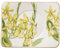 Villeroy & Boch Amazonia rechteckige Tee-Untertasse, Edles Geschirr aus Premium Bone Porzellan, 17 x 14 cm