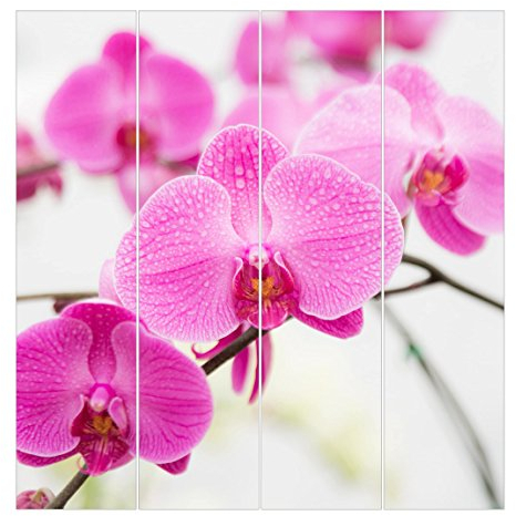 Bilderwelten Schiebegardinen Nahaufnahme Orchidee - Ohne Aufhängung, 4X 250 x 60cm