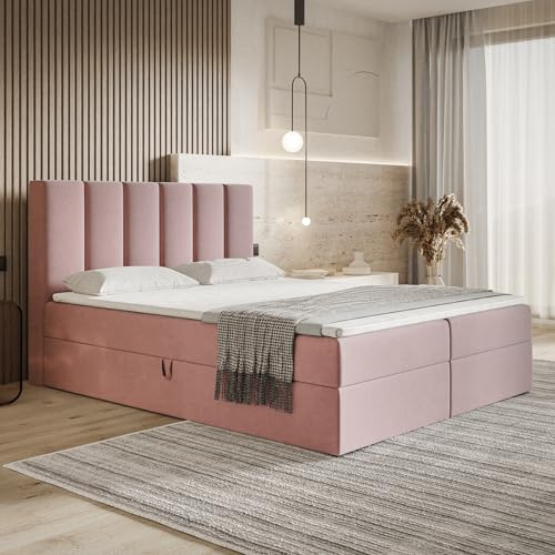 MOTIVENA Santiago Boxspringbett 160x200 Rosa Samt, mit Taschenfederkern-Matratze (H3), mit Visco Memory-Foam Topper (H2), Boxspringbett 160x200 mit Bettkasten Rosa (Pink)