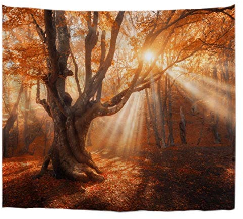 A.Monamour Wanddekor Wandteppiche Herbst Herbst Morgen Alten Magischen Verzauberten Baum Mit Sonne Strahlen Nebligen Orange Wald Natur Landschaft Kunstdruck Stoff Wand Wandbehang Wandbehänge 180x200cm