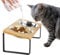 GUUSII HOME Gamelle Chat Surélevée Double en INOX avec Support Bois Incliné - Anti Vomissement pour Chaton