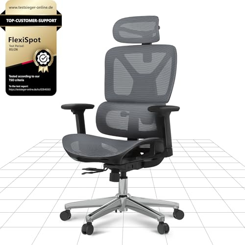 FLEXISPOT ErgoX Ergonomic Office Chair, Executive Mesh Desk Chair with Height Adjustable Seat, Headrest, Armrests & Independent Lumbar Support, Swivel Task Chair,Dark Grey