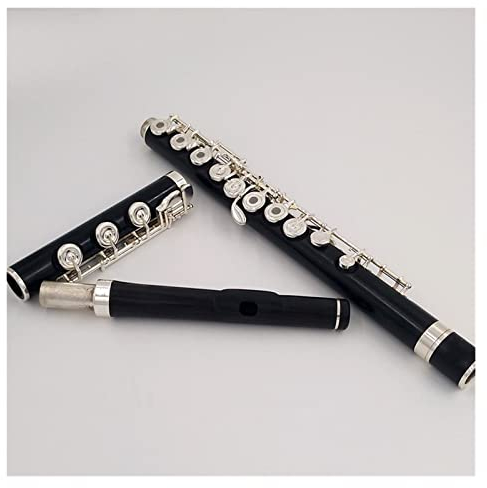 17 Löcher Ebenholzflöte Offenes Loch Versilbert E Key Natürliche Ebony Holz Professionelle Flöte Querflöte