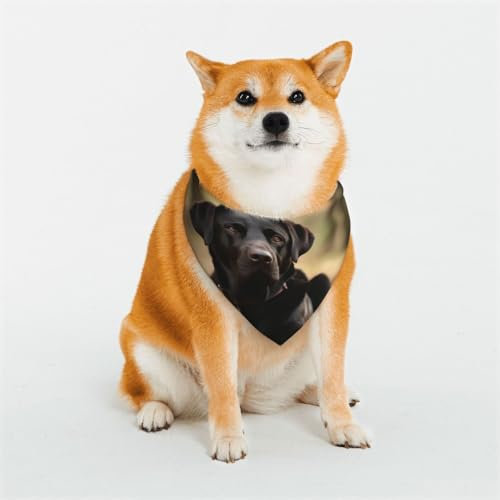 Halstuch, niedliches Labrador-Hundehalstuch, klein, verstellbar, dreieckig, doppelt, wendbar, waschbar, für mittelgroße und große Hunde, Welpen, Katzen, Geschenk