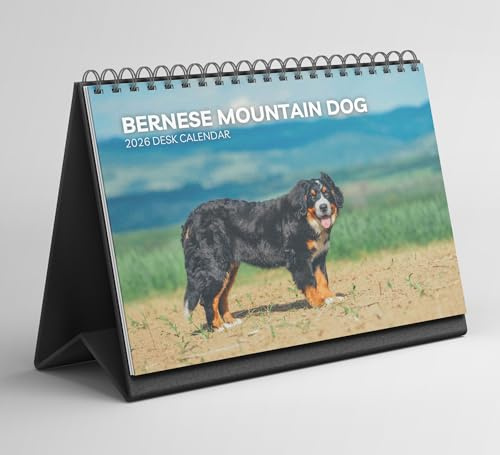 Berner Sennenhund Kalender 2026 - Monatlicher Wandkalender mit Notizen, hängend im A4-Format, inklusive Schlüsseldaten & Feiertagen