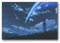 Ninainai Anime Cartoon Poster Kimi No Na Wa Sternennacht Wandkunst Poster 30 x 45 cm