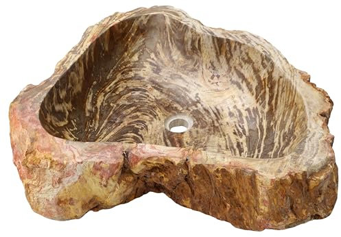 GURU SHOP Massives Fossiles Holz Aufsatz-Waschbecken, Waschschale, Naturstein Handwaschbecken - Modell 9, 15x56x48 cm