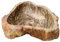 GURU SHOP Massives Fossiles Holz Aufsatz-Waschbecken, Waschschale, Naturstein Handwaschbecken - Modell 9, Beige, 15x56x48 cm, Waschtische & Waschbecken
