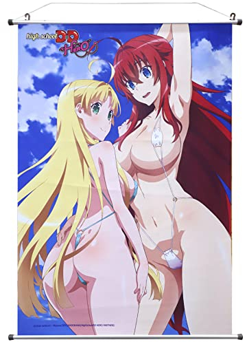 SAKAMI Highschool DXD Wallscroll Rias & Asia Wallscroll Stoff-Poster 60x86cm Wandbild auf Stoff, offiziell lizensiert Merchandise