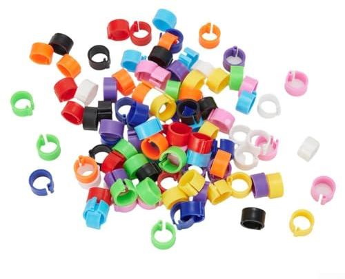 Lot de 100 anneaux de cuisse de poulet, multicolores réutilisables en plastique pour bébés poussins, couveuses, 8 mm de diamètre, ajustement sûr et confortable