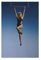 hfsjser Miley Cyrus Bloemen Albumcover-Poster, Leinwandposter, Wandkunst, Dekordruck, Bild Gemälde für Wohnzimmer, Schlafzimmer, Dekoration, 30 x 45 cm