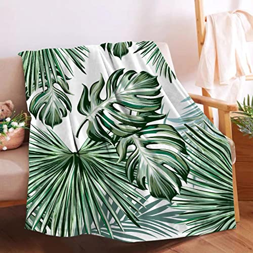 Softerhug Decke Monstera Deliciosa, Palmen, tropische Pflanzen, weich, gemütlich, Überwurf, leichte Mikroplüsch-Decken für Couch, Bett, Sofa, alle Jahreszeiten, 152.4x127 cm, Doppelbett für Teenager