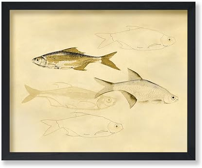 Poster Master Vintage Fisch-Skizzenposter – Retro-Fischdruck – Wasserkunst – Meereslebewesen Kunst – abstrakte Kunst – Ozeankunst – Meereskunst – Minimale Kunst – Strand- oder Seehaus-Dekor – 20,3 x