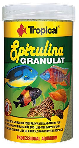 Tropical Tadeusz Ogrodnik Cichlid Red & Green Stick M – 44 G