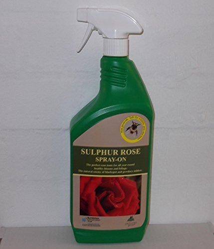 Greenacres Sulphur Rose Spray On 1 Litre (2)