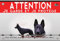 Panneau plastique Attention au chien berger allemand mondioring