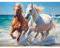 luckyarina Diamond Painting Erwachsene Pferd- Tiere Diamont Painting Bilder, Pferd 5D Diamond Painting für Geschenke und Home Wand Dekor 30x40CM