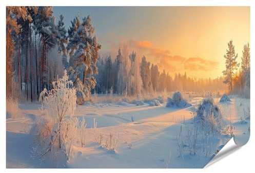 islandburner XXL Bild Poster Winterlicher Sonnenaufgang im schneebedeckten Wald mit hohen Kiefern Premium Bilder Fotodruck