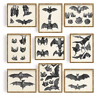 FREEBLOSS 9 Stücke Fledermaus Poster, Poster Aesthetic Bilder Set Aesthetic Dekoration Bilder Wall Art für Schlafzimmer und Wohnzimmer 20x25cm