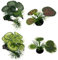 MEISO 4 Pezzi Piante Acquario, Piante Finte Acquario, Piante Ornamentali per Acquario, Plastica Piante Acquatiche, Acquario per Pesci Rossi, Decorazione Acquario per la Casa e l'ufficio
