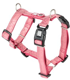 Max & Molly Hundegeschirr Matrix 2.0 Rose/M in H-Form, für Hunde mit Gotcha! Smart ID, Geschirr Hund, Neopren Gepolstert & Reflektierende Nähte - Komfort für deinen treuen Begleiter